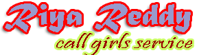 Bikaner Call Girl Agency logo